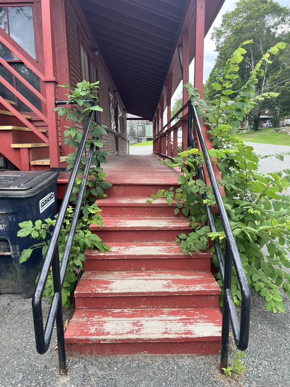 Picture 5