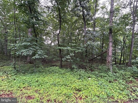 LAND - Winchester, VA