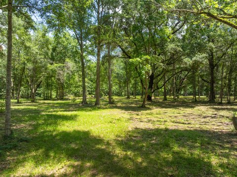 Picturesque Land with Majestic Oaks
