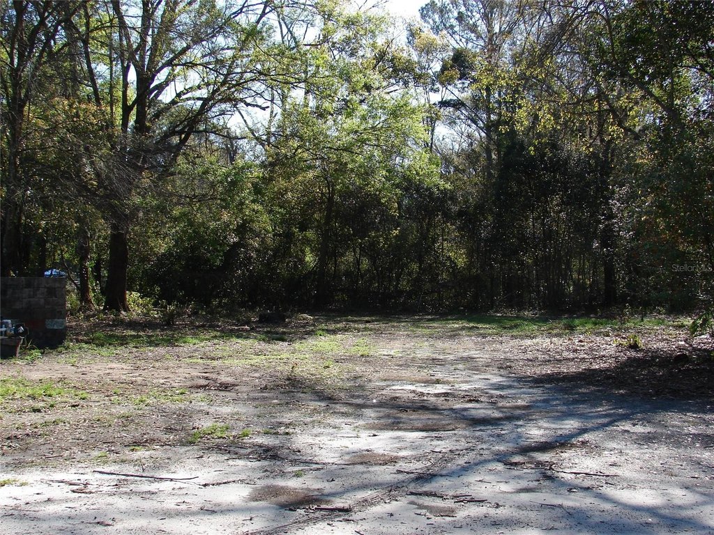 Picture 8