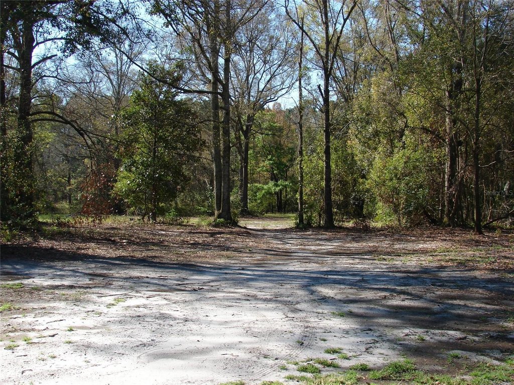 Picture 7