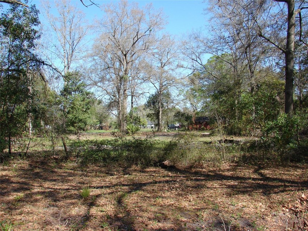 Picture 21