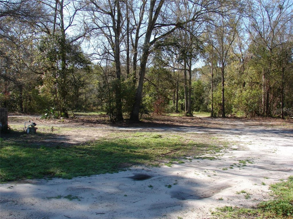Picture 4