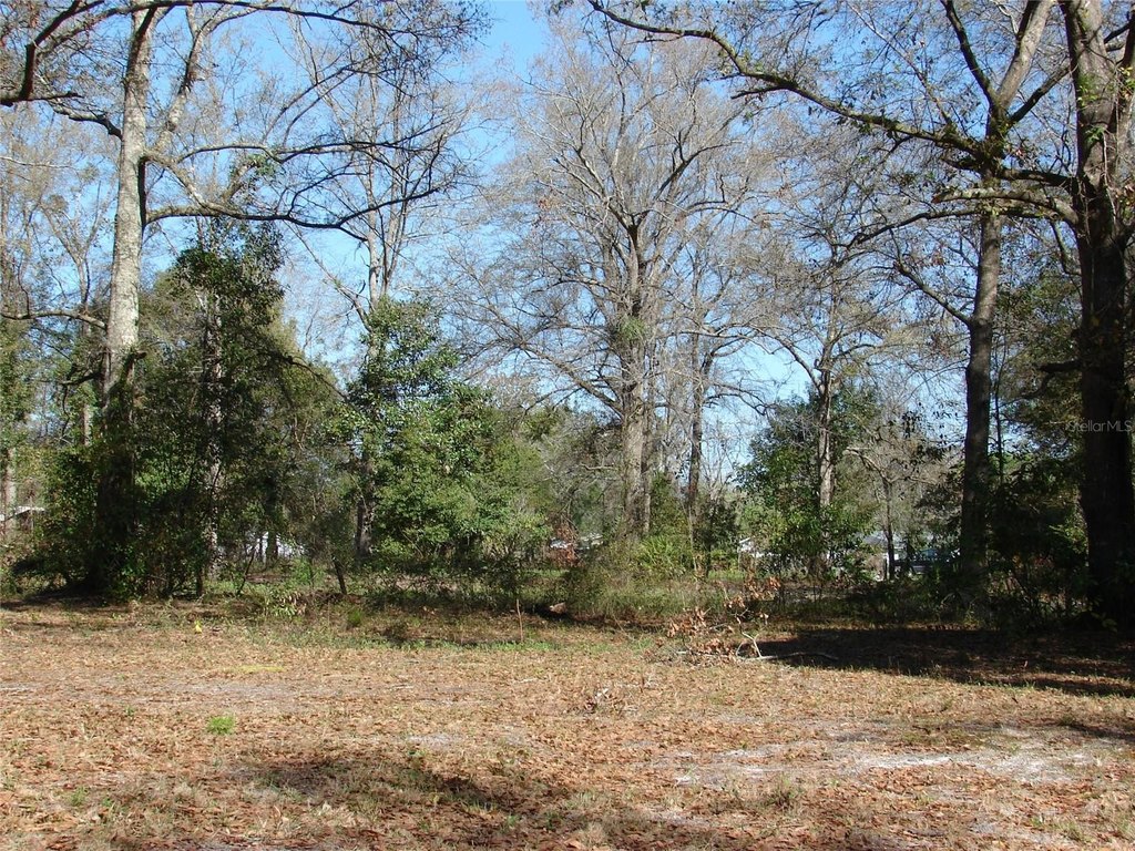 Picture 20