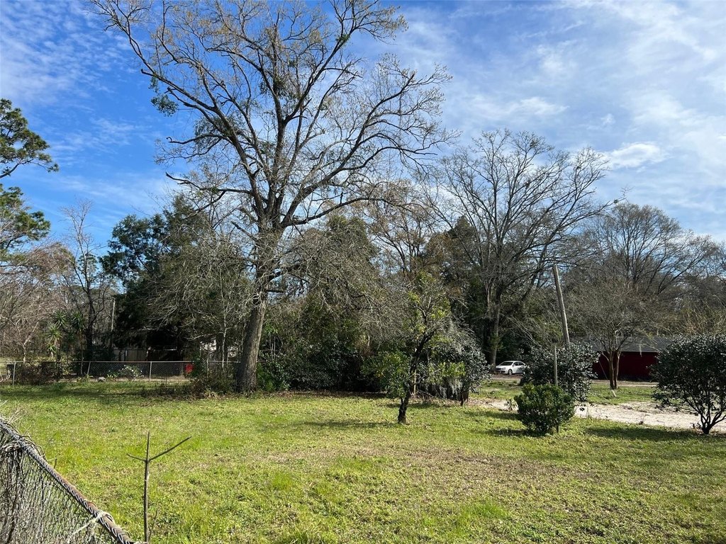 Picture 25
