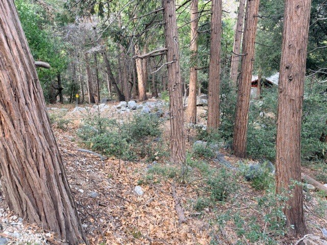Picture 3