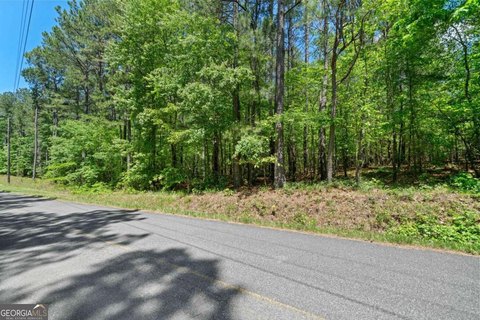 9-Acre Lot in White, GA