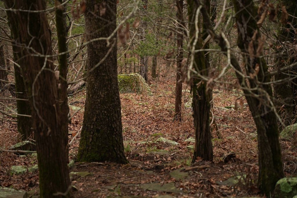 Picture 41
