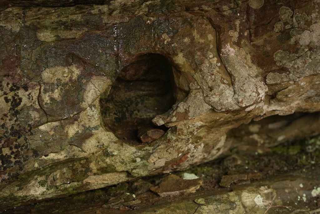 Picture 37