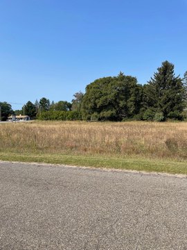 Manistee Commercial Land For Sale