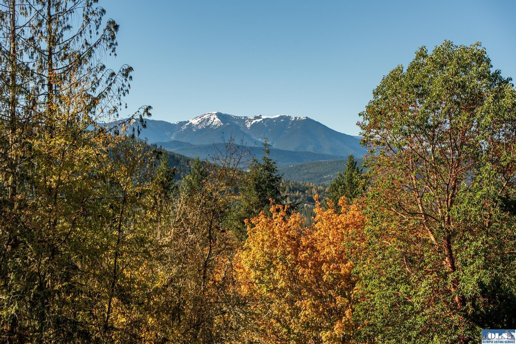 Picture 42