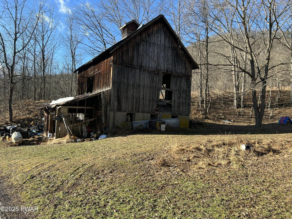 Picture 5