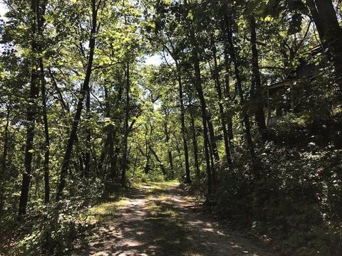Beverly Shores Wooded Acreage