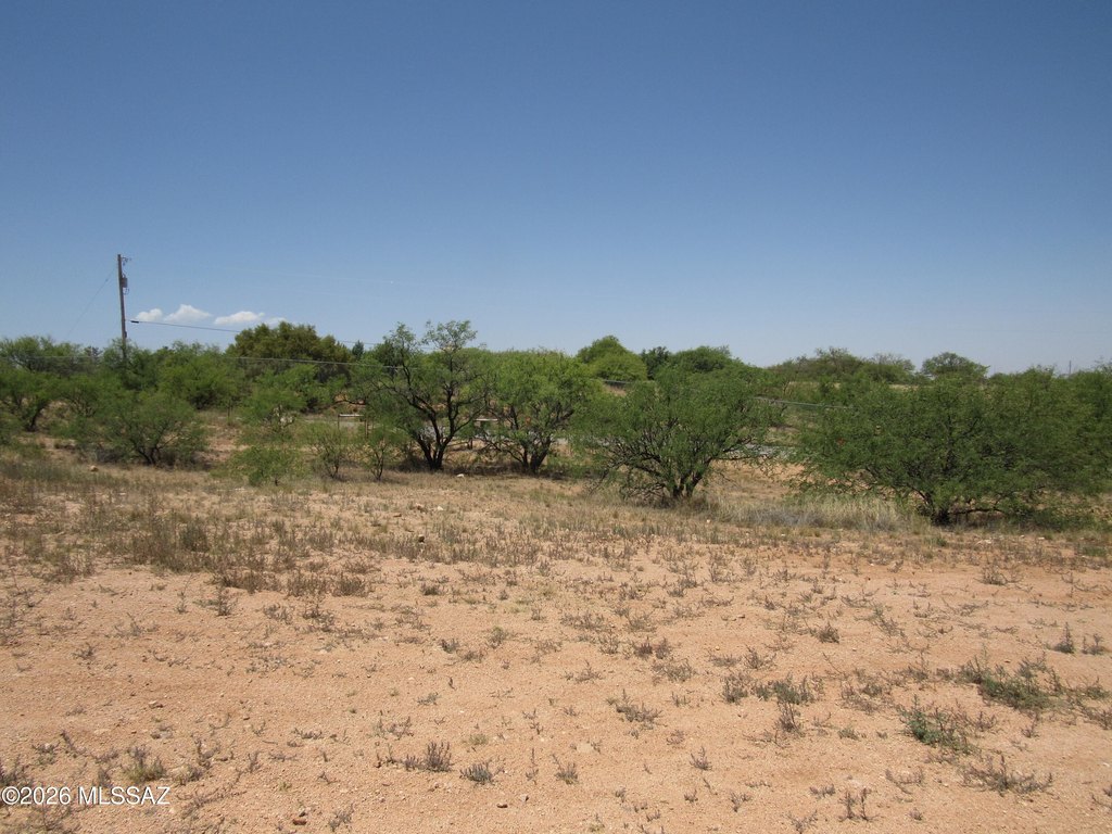 Picture 27