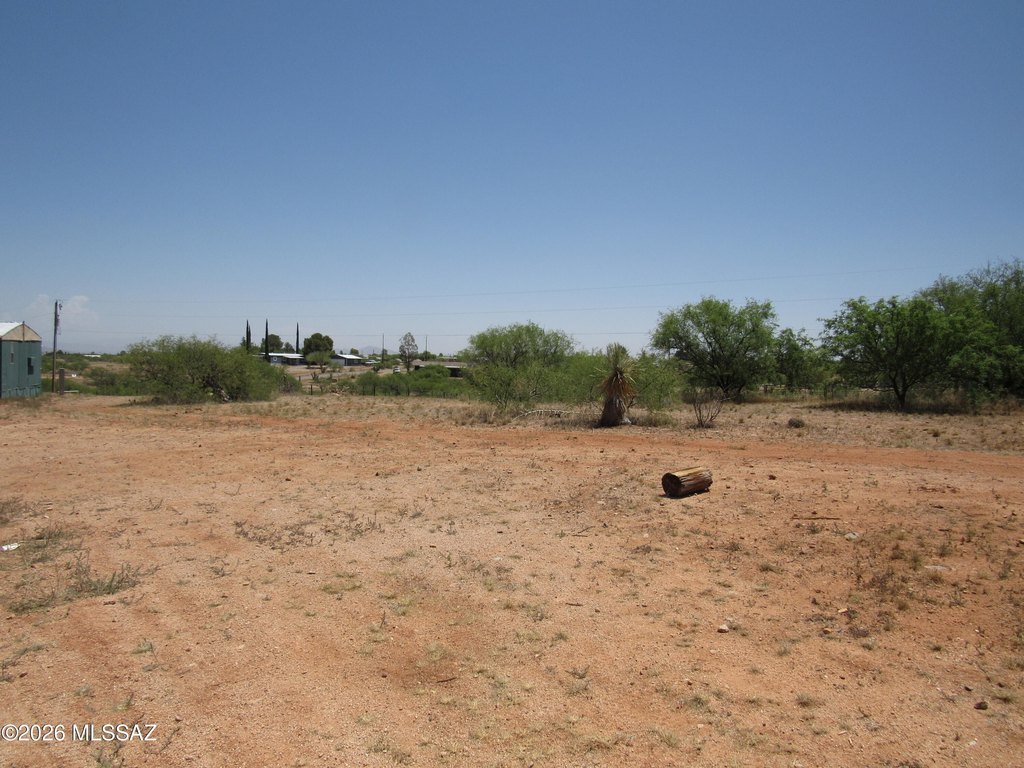 Picture 5