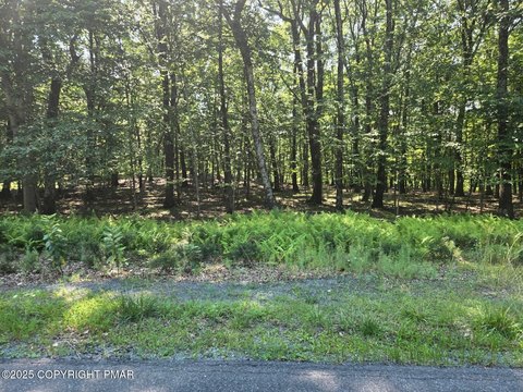 Pocono Ranch Lands Prime Lot