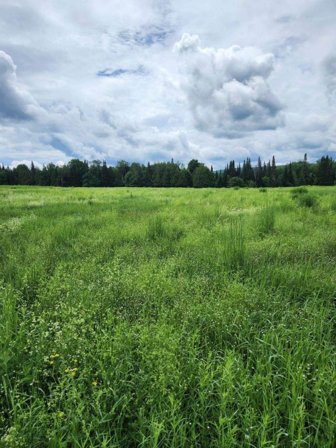 Waterfront Land in Chateaugay, NY
