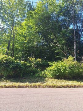 Endicott, NY