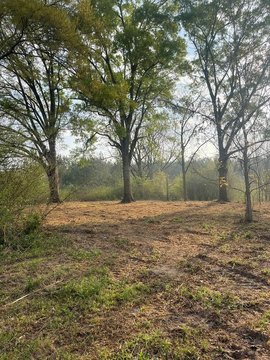 Poplarville Land with Pond