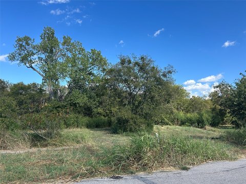 LAND - Grandview, TX
