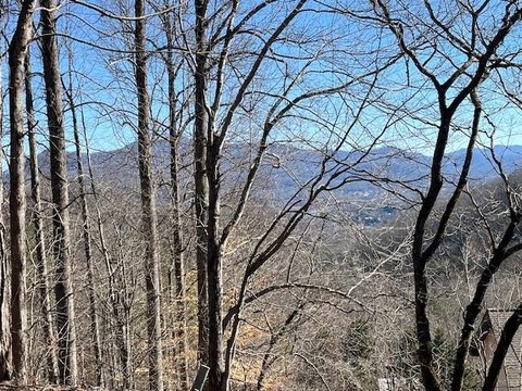 Hiawassee Vacant Lot with Views
