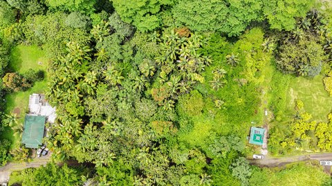 Land, Pahoa, HI