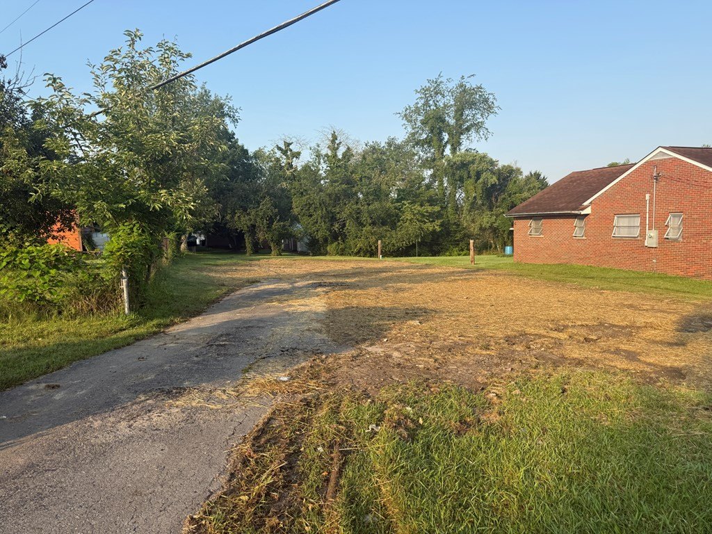 Picture 3