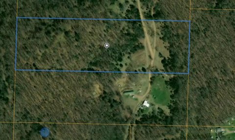 Secluded Wooded 12-Acre Land Parcel
