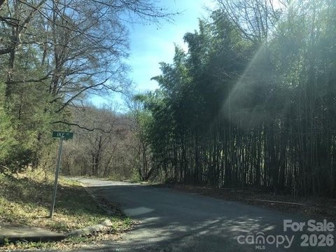 Wooded Land in Chester, SC