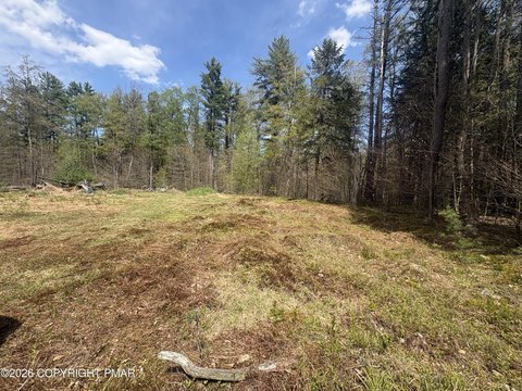 LAND - Thornhurst, PA
