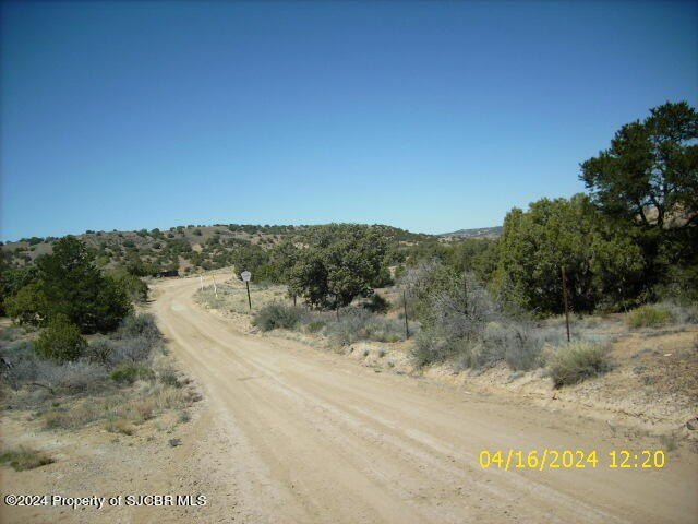 Picture 2