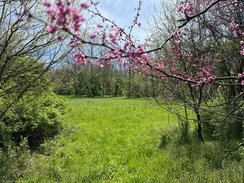 Brownsville Farm/Estate with Quarry