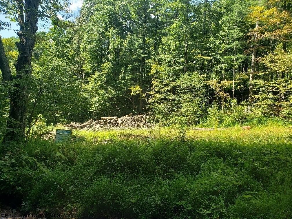 Picture 2