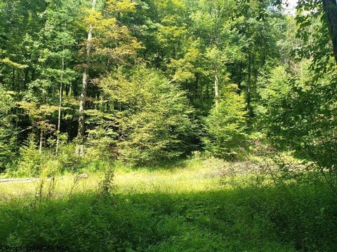 Mountain Land With Road Frontage