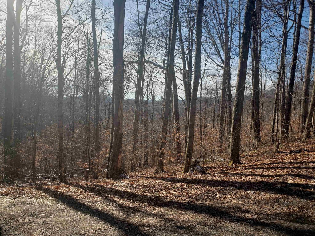 Picture 6