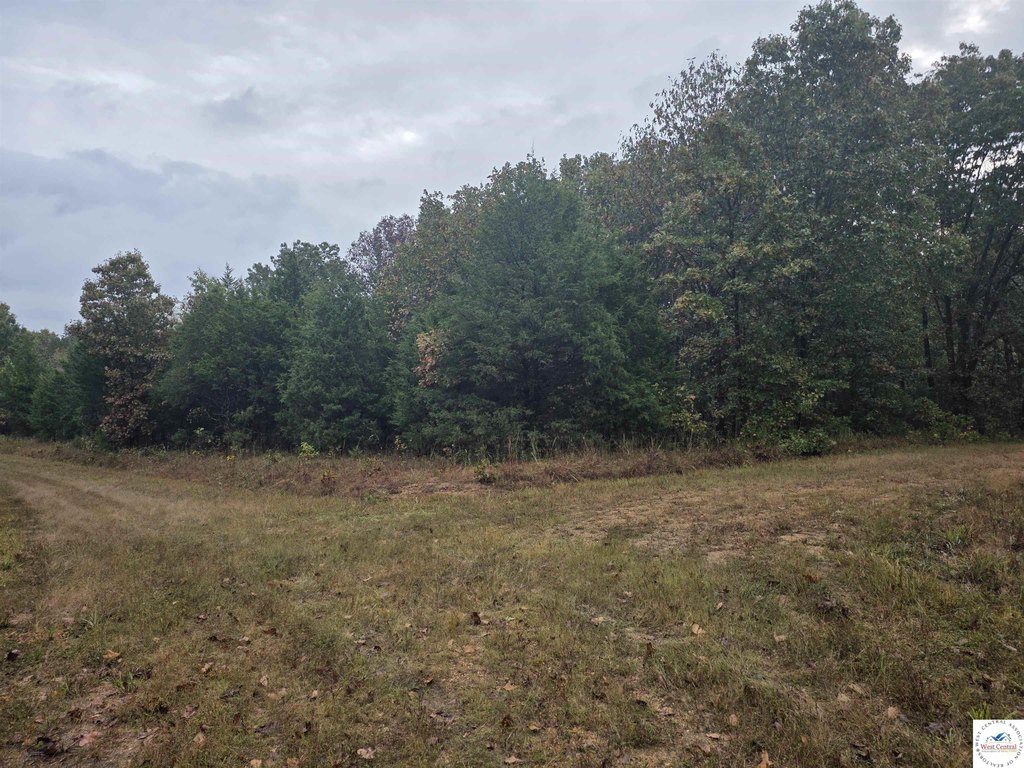 Picture 3