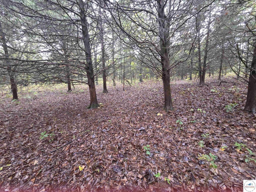 Picture 6