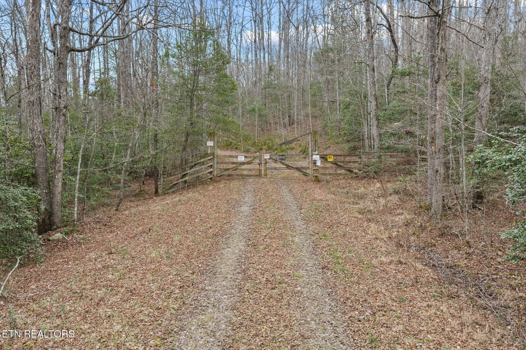Picture 31