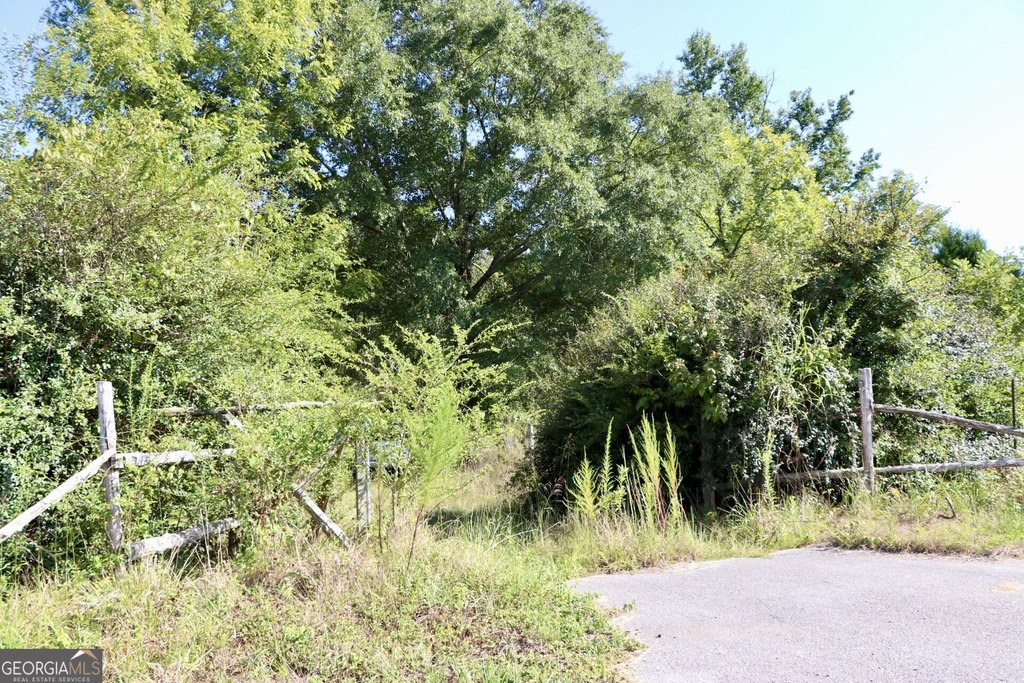 Picture 8