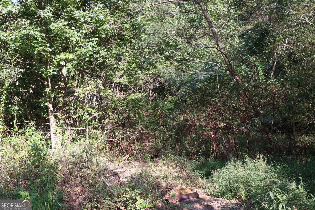 Picture 31