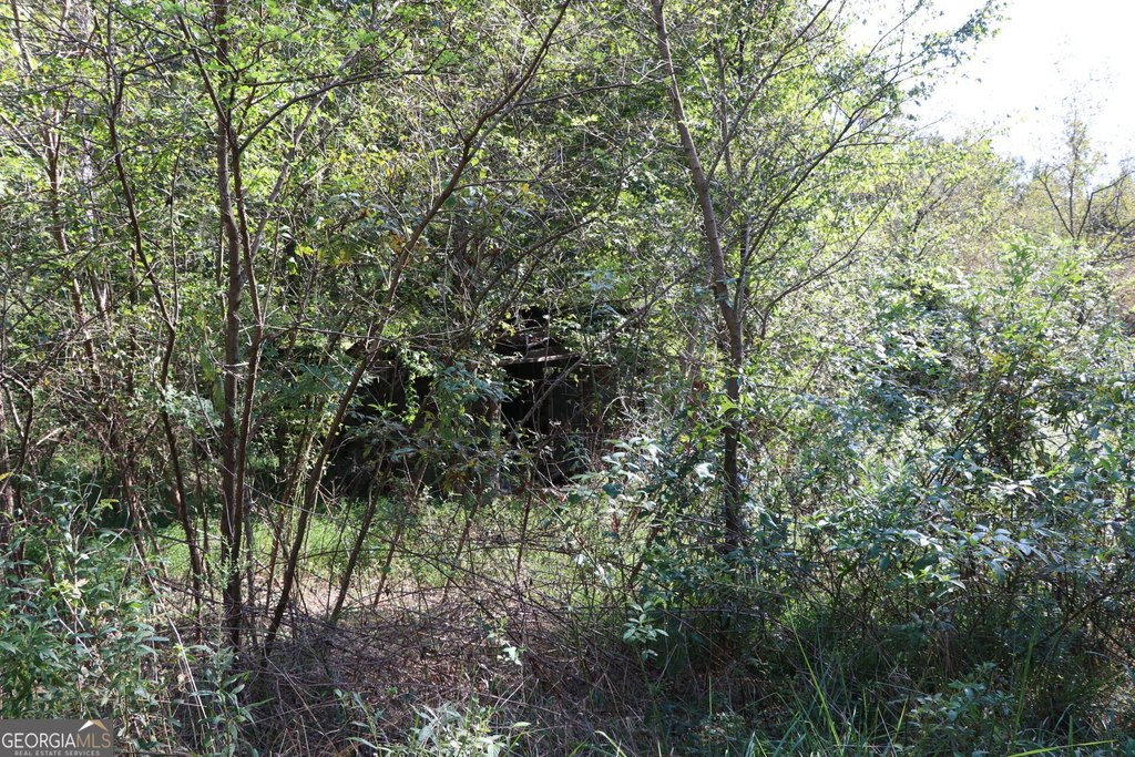 Picture 28