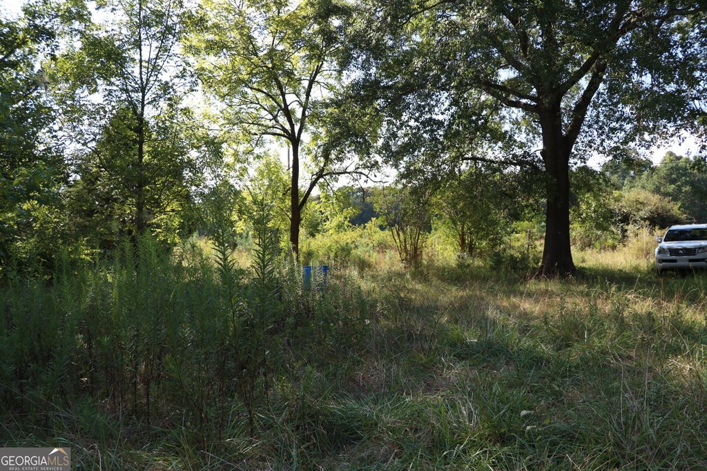 Picture 30
