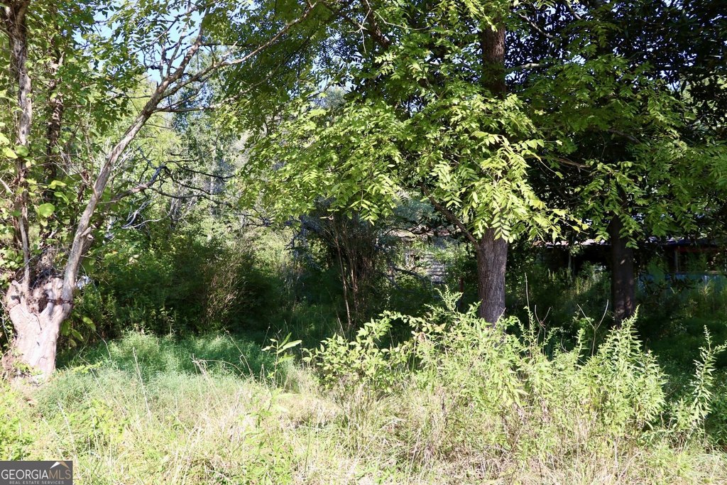 Picture 18