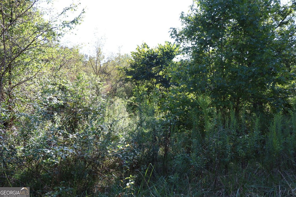 Picture 29