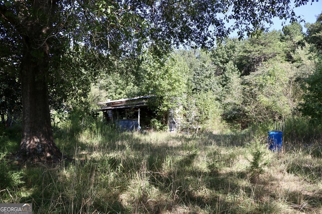 Picture 20