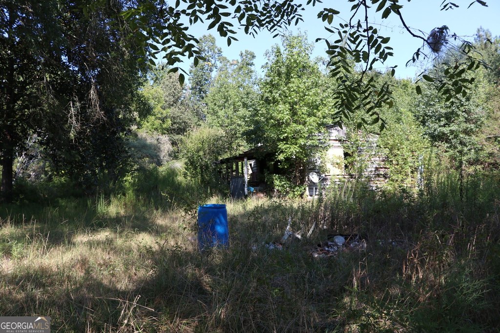 Picture 26