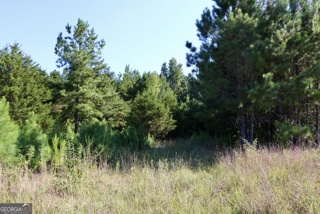 Picture 12