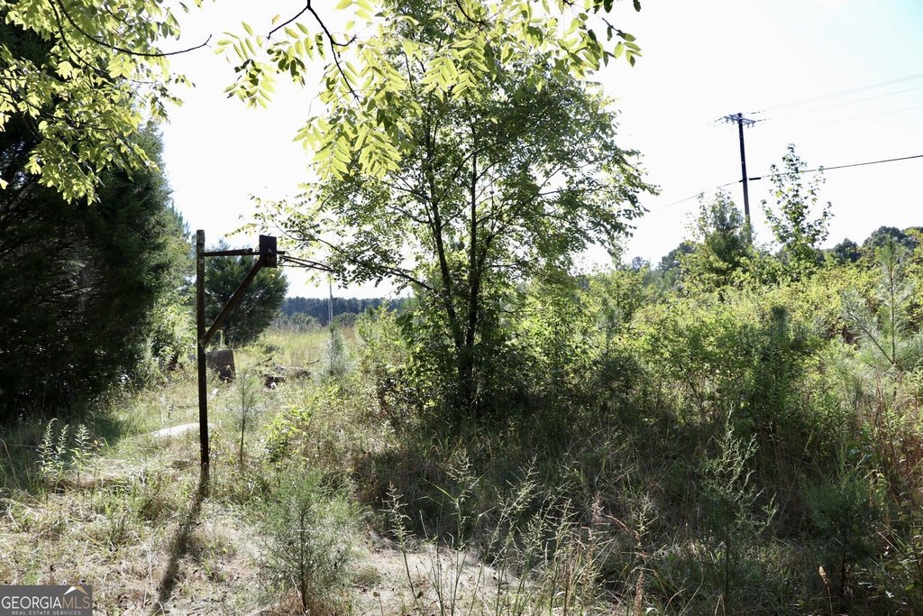 Picture 22