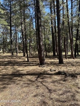 Pinetop Land For Sale