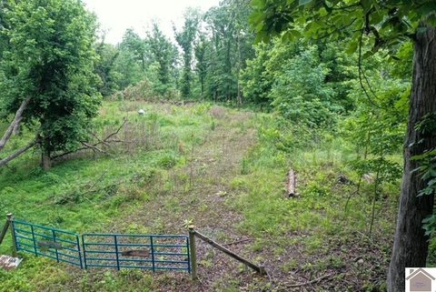 Wooded Lakefront Land
